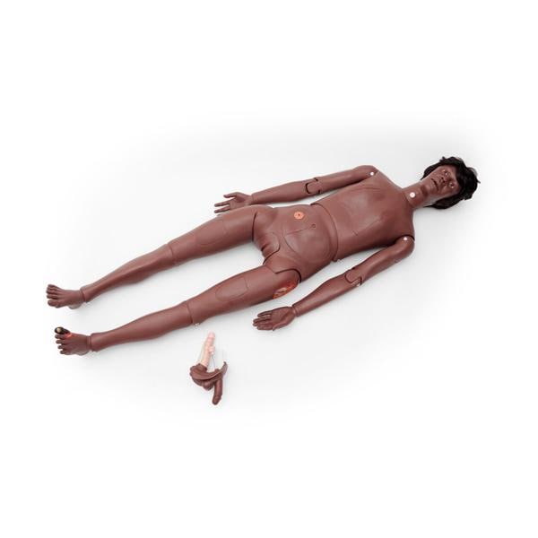 3B Scientific Full Body Manikin Training Manikin Ea