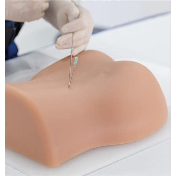 3B Scientific Lumbar Spinal Column Injection Teaching Trainer Ea