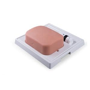 SONOtrain Gallbladder/Ultrasound Training Model Ea