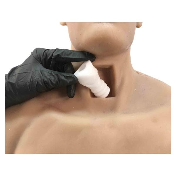 6N1 Trainer Replacement Trachea Ea