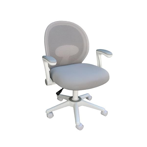 Mesh Back Task Chair Ea