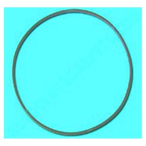 Door Gasket For Chemiclave 5500 5500 Ea
