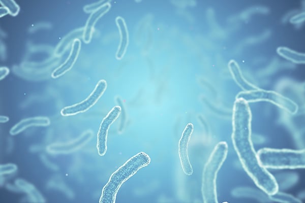 Antimicrobial Stewardship Tools and Solutions