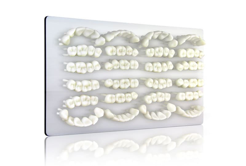 Flexcera&trade; Smile