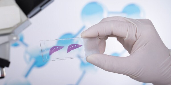 Recursos para patolog&iacute;as anat&oacute;micas de Henry Schein