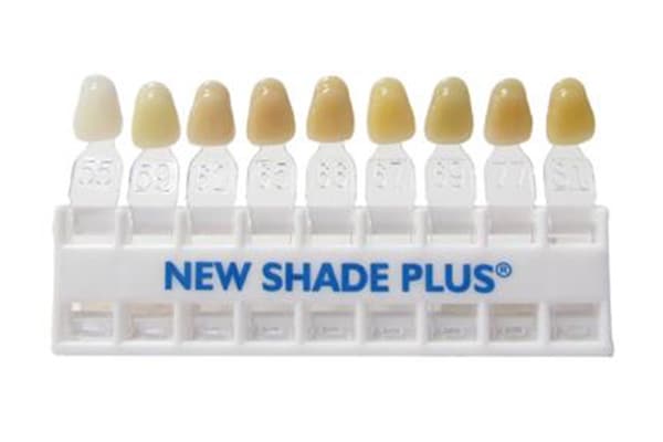 Gastroenterolog&iacute;a